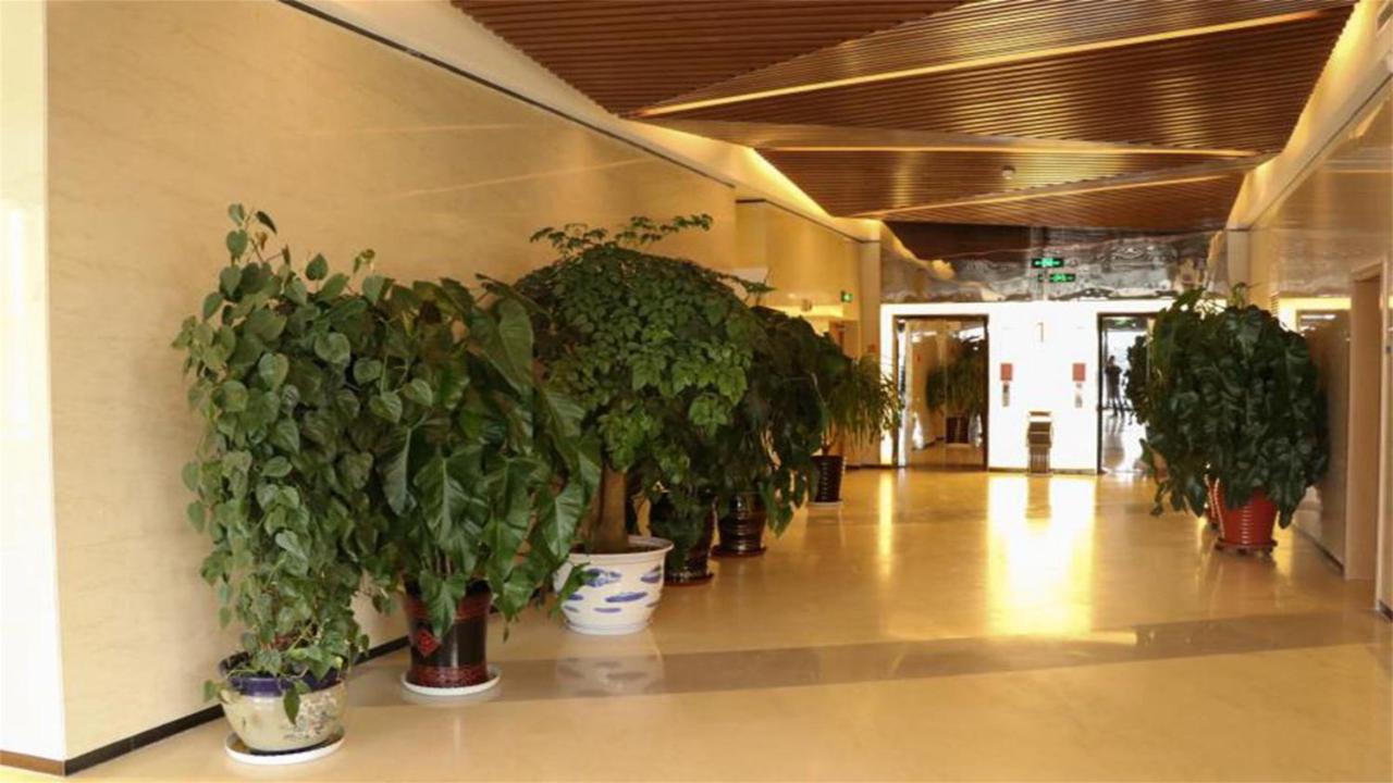 Holiday Inn Express Zhangjiakou Park View, An Ihg Hotel Eksteriør billede